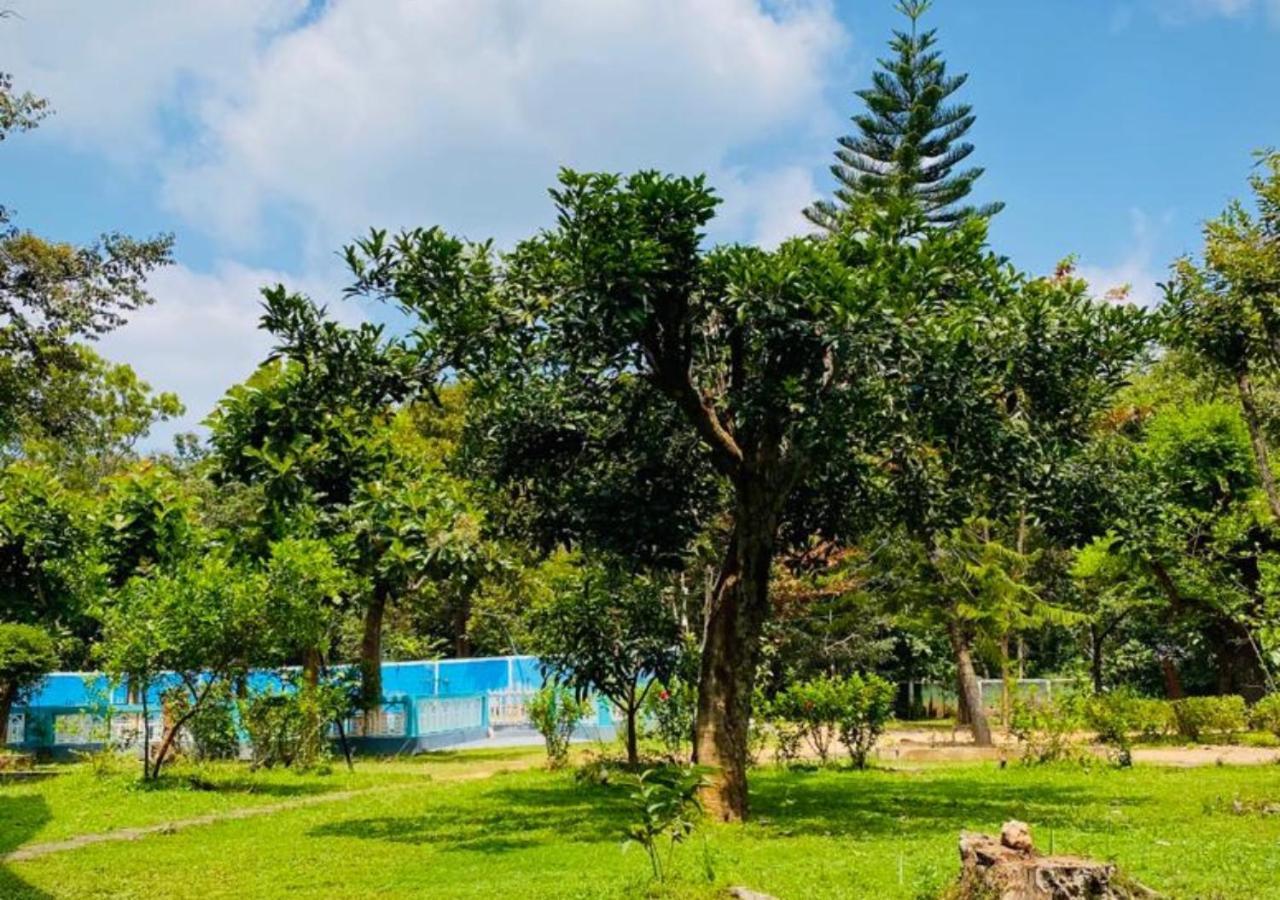 The Green Heaven Resort Sigirîya Extérieur photo